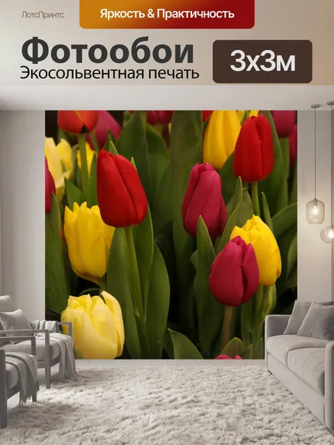Фотообои Тюльпаны