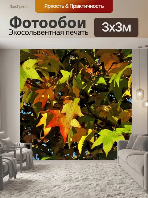 Фотообои свет на осенние листья