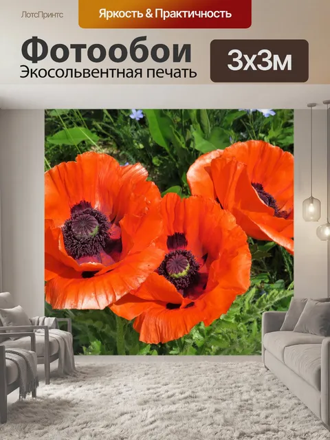 Фотообои Мак
