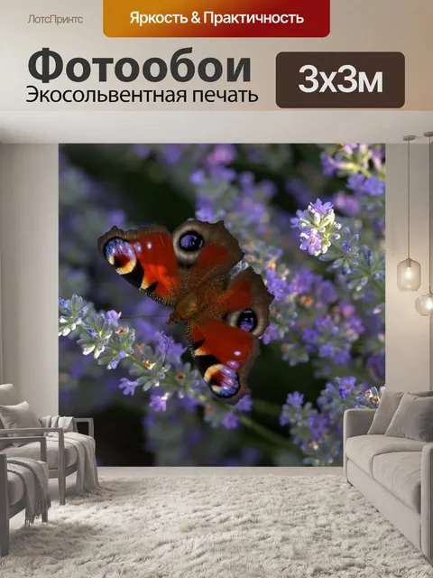 Фотообои Лаванда