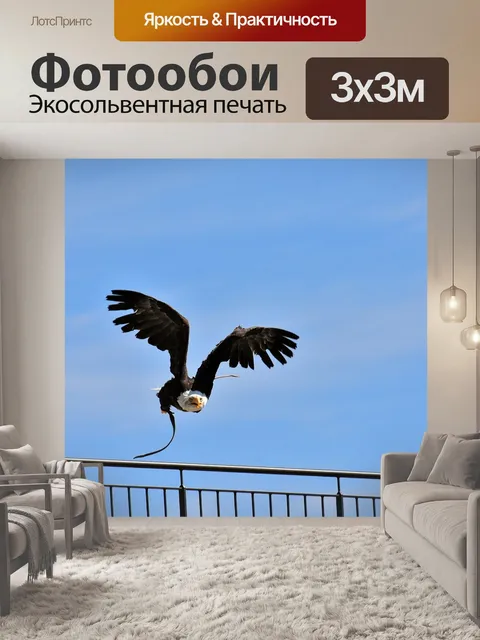 Фотообои Орел