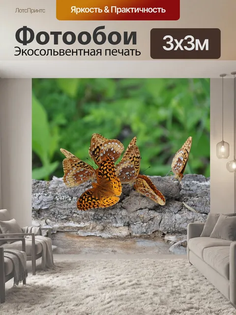 Фотообои Бабочки