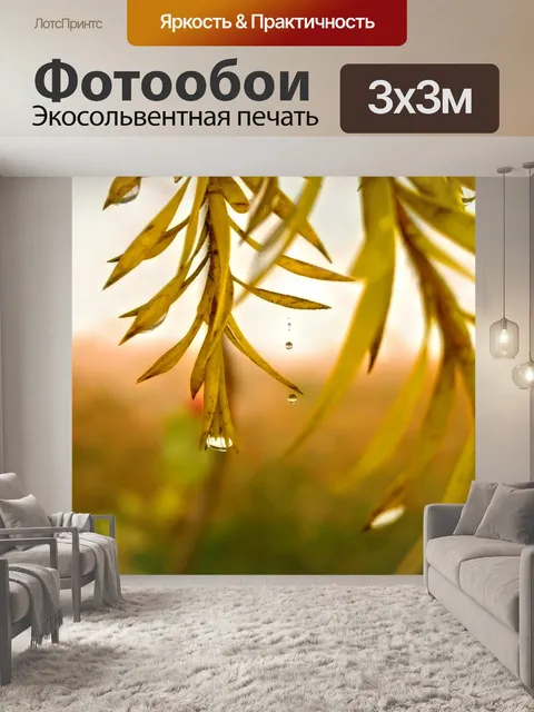 Фотообои Лист