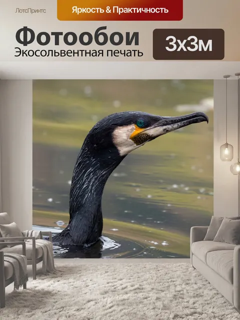 Фотообои Птицы