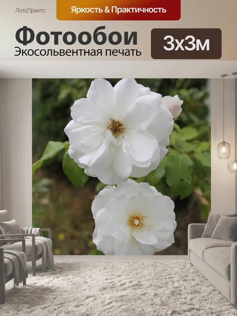 Фотообои Цветы