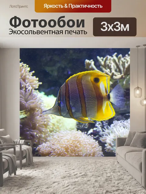 Фотообои Рыбы