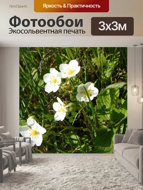 Фотообои Цветы