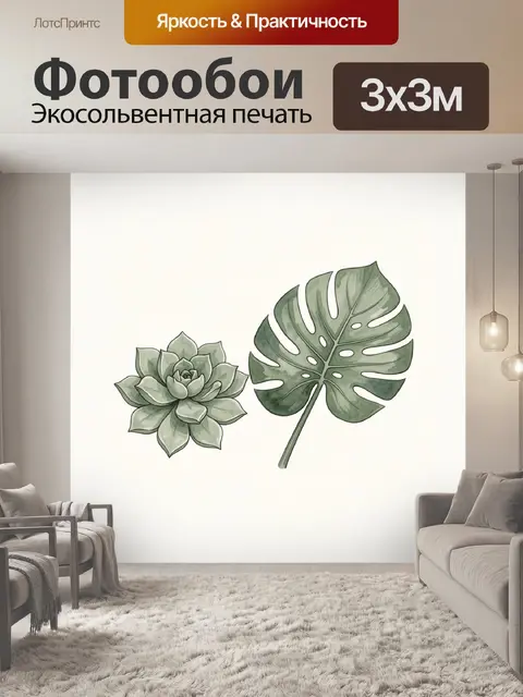 Фотообои Суккуленты и листья монстеры