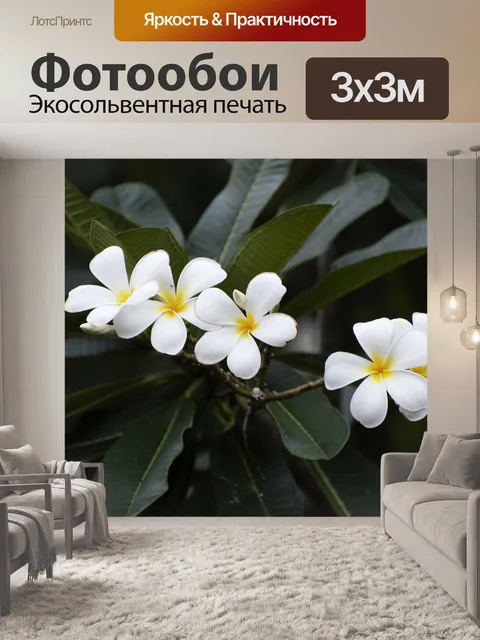 Фотообои Цветы