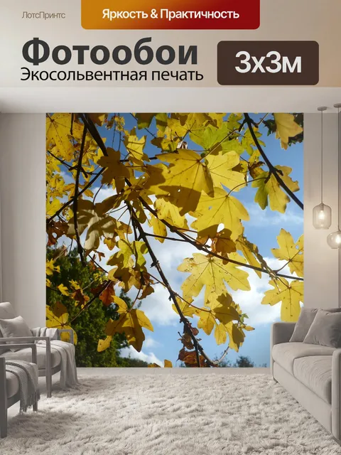 Фотообои Клен