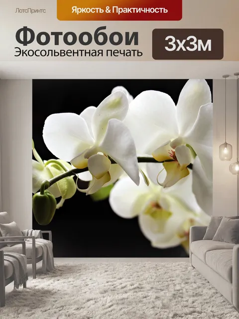 Фотообои Орхидеи