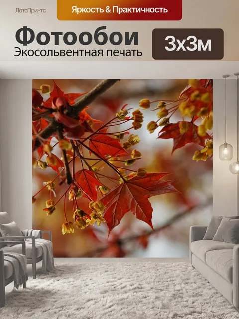 Фотообои Клен