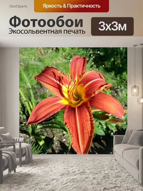 Фотообои Цветы