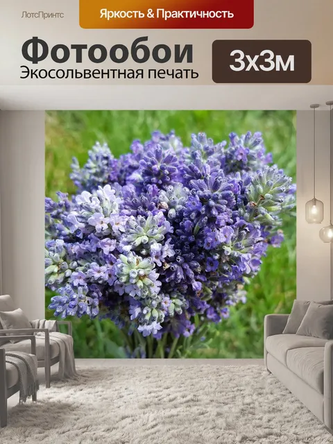 Фотообои Лаванда