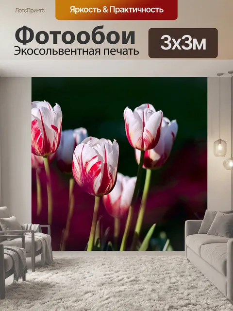 Фотообои Цветы