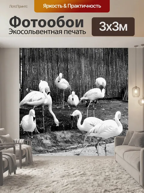Фотообои Фламинго