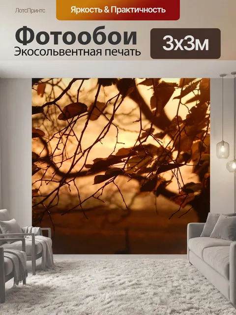 Фотообои Падение