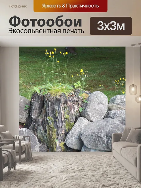 Фотообои Старый Rock Wall