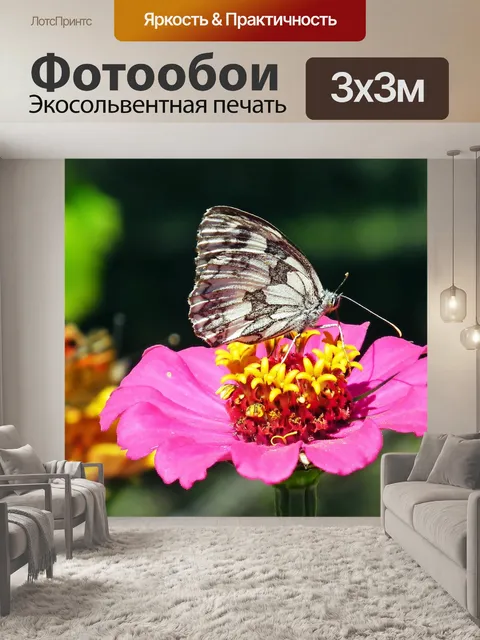 Фотообои Бабочки