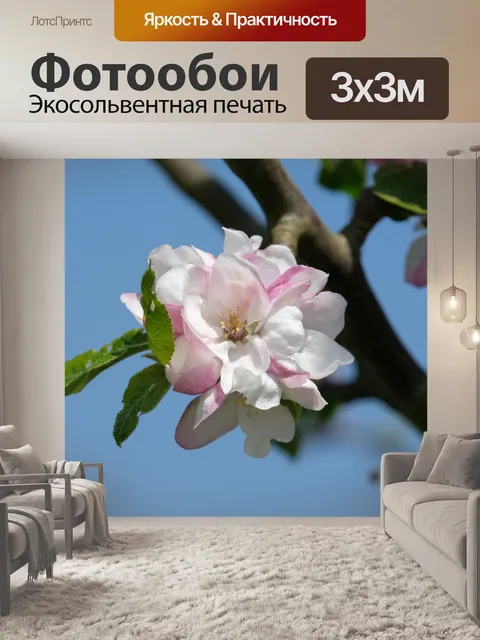 Фотообои Яблоневый цвет
