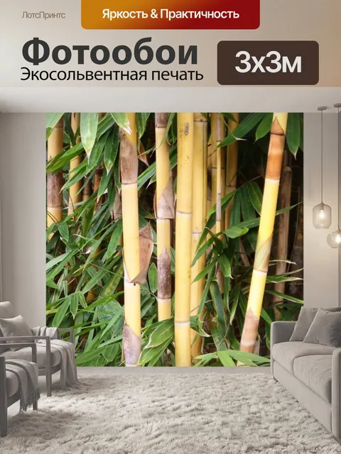Фотообои Золотые бамбуковые стебли и растение