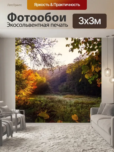 Фотообои Лес
