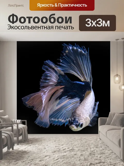 Фотообои Карп
