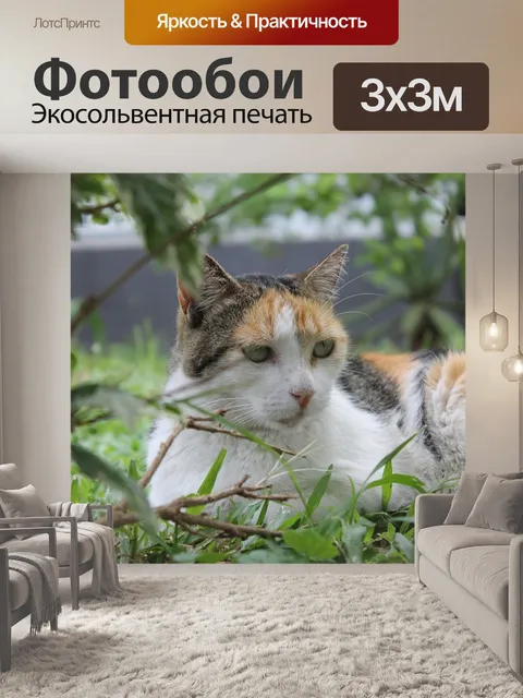 Фотообои Природа