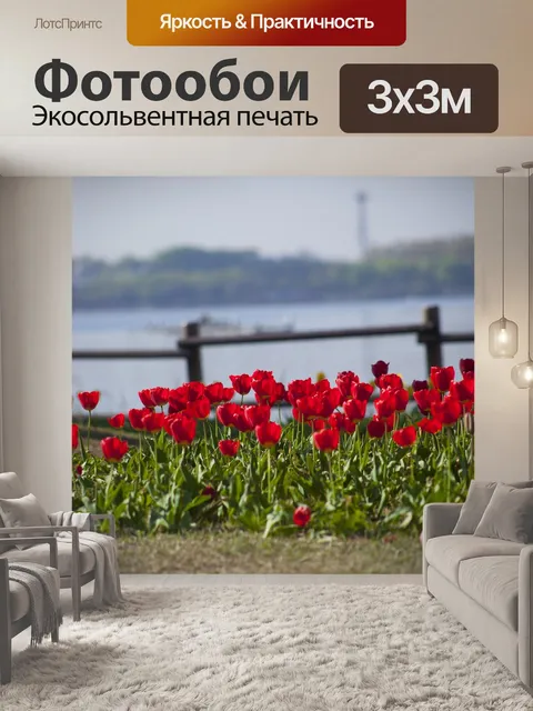 Фотообои Тюльпаны