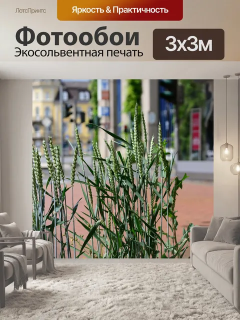 Фотообои Зерно