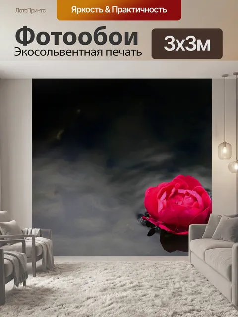 Фотообои Роза