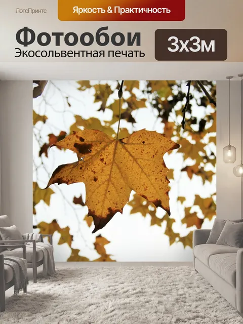 Фотообои Клен