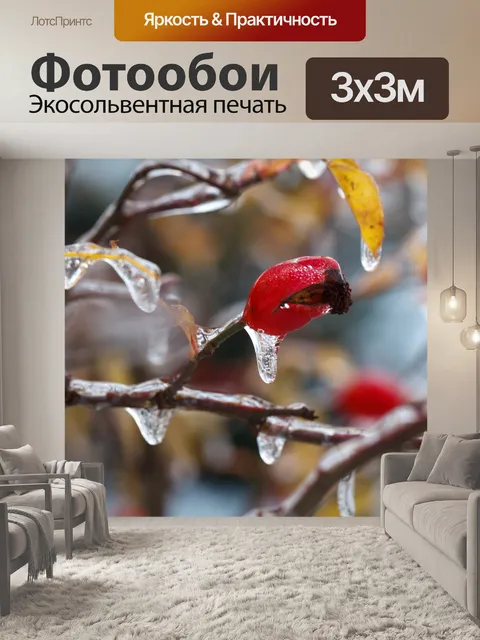 Фотообои лед на шиповник