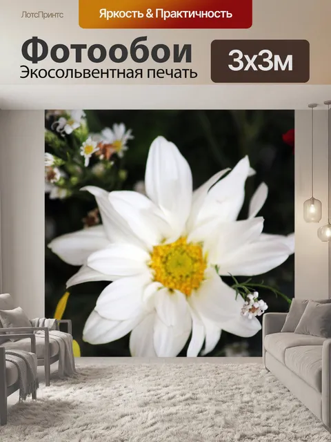 Фотообои белый цветок