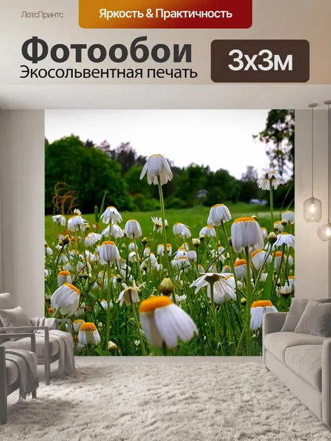 Фотообои Маргаритка