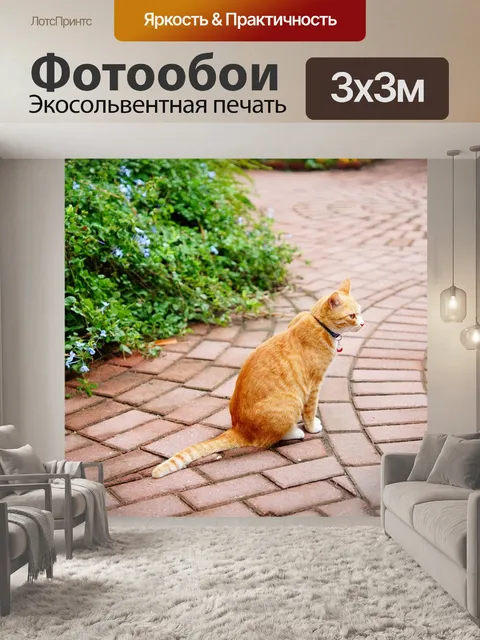 Фотообои Кошка