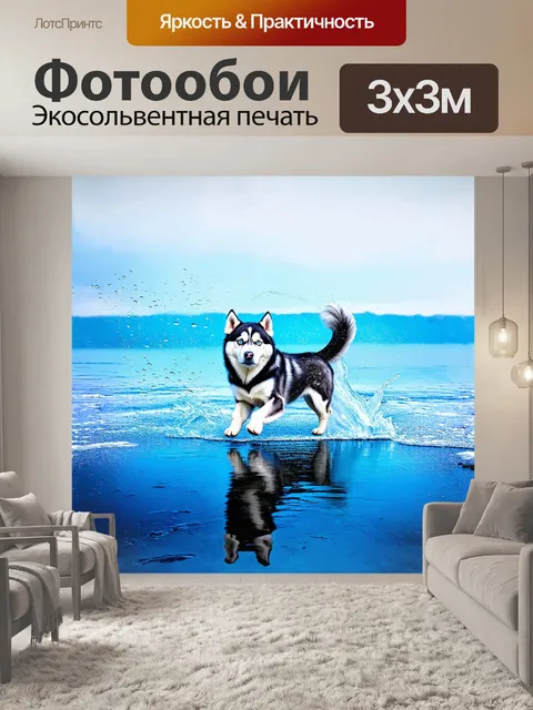 Фотообои хаски, играющий в ярко-синих водах ледяного озера, ловит отражения неба в своих умных глазах