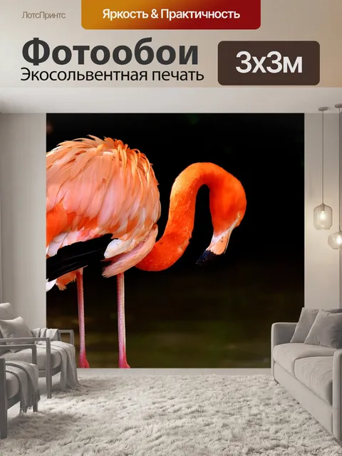 Фотообои Фламинго