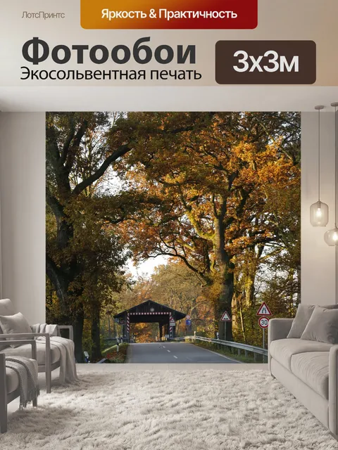 Фотообои Дорога