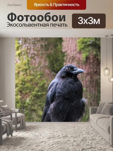 Фотообои Ворона на заборе 4