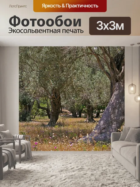 Фотообои Оливковые деревья