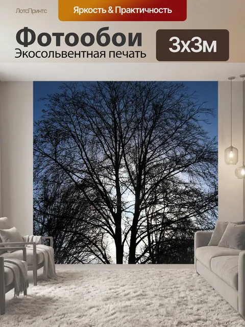 Фотообои Дерево