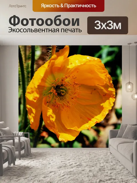 Фотообои сложенные Исландии мак, желтая