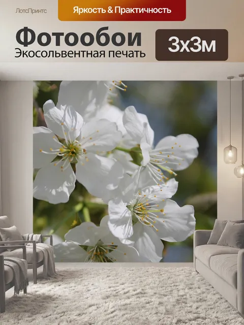 Фотообои Цветы вишни