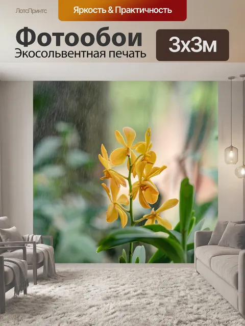 Фотообои Цветок орхидеи