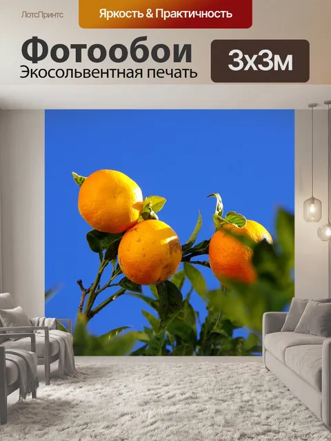 Фотообои Апельсины