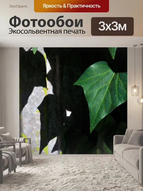 Фотообои Плющ