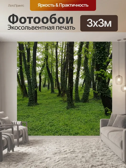 Фотообои Лес