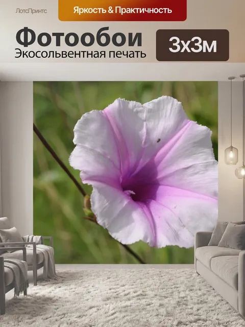 Фотообои Природа