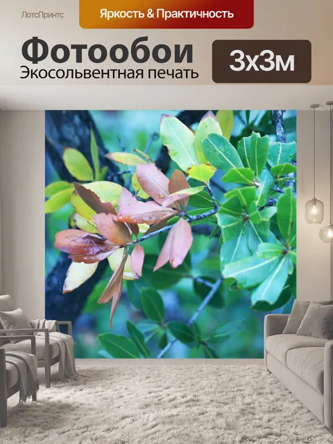 Фотообои ошибка вони, соответствующая коричневым
